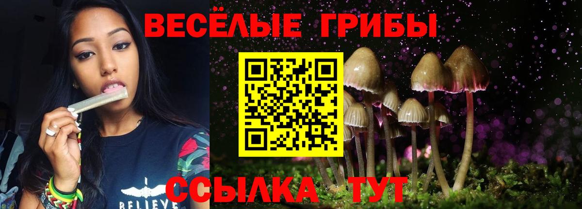 Галлюциногенные грибы MAGIC MUSHROOMS Черняховск